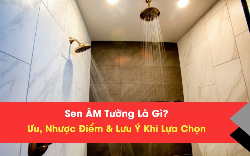 Sen Âm Tường Là Gì? Ưu, Nhược Điểm & Lưu Ý Khi Lựa Chọn