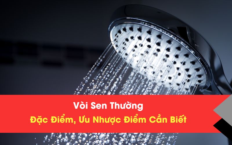 Đặc điểm của vòi sen thường