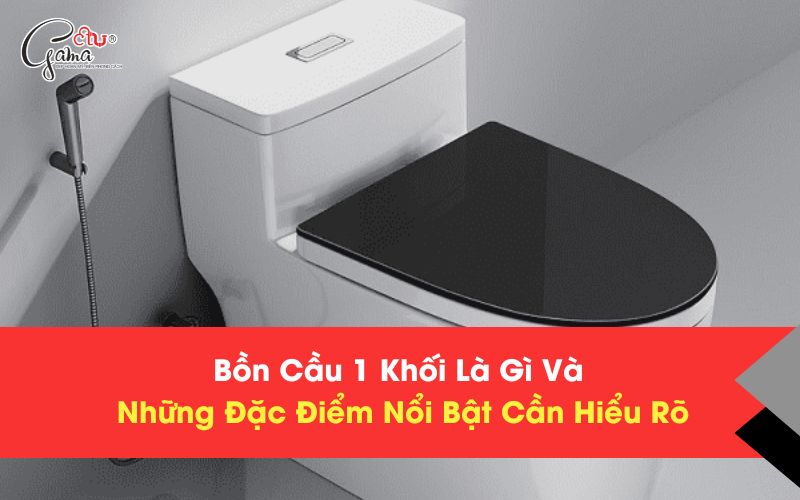Bồn Cầu 1 Khối Là Gì Và Những Đặc Điểm Nổi Bật Cần Hiểu Rõ