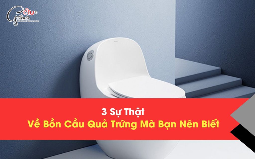 3 Sự Thật Về Bồn Cầu Quả Trứng Mà Bạn Nên Biết