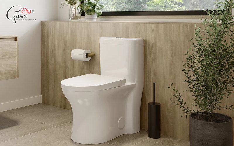 Lựa chọn kích thước bồn cầu 1 khối theo ngân sách và phân khúc sản phẩm