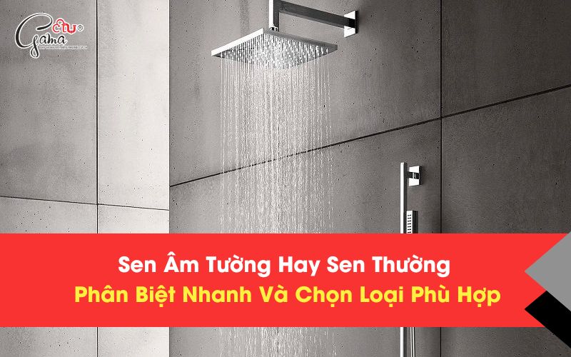 Sen Âm Tường Hay Sen Thường Phân Biệt Nhanh Và Chọn Loại Phù Hợp