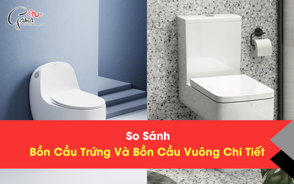 so-sanh-bon-cau-trung-va-bon-cau-vuong