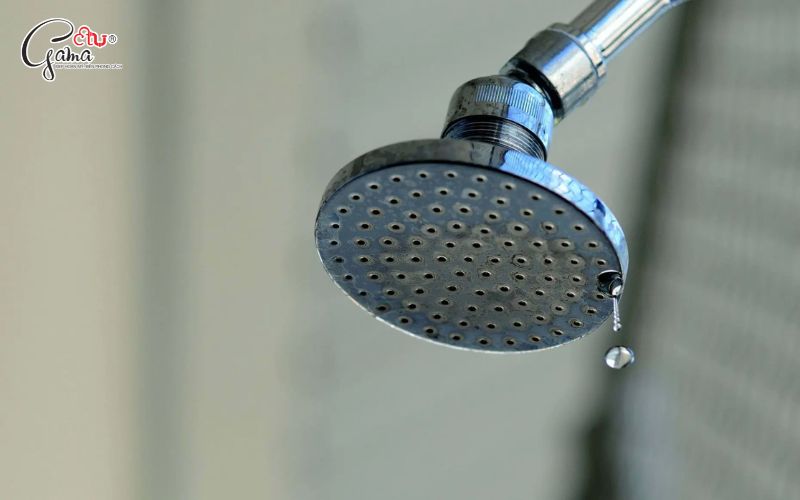 Nguy cơ nhiễm kim loại nặng