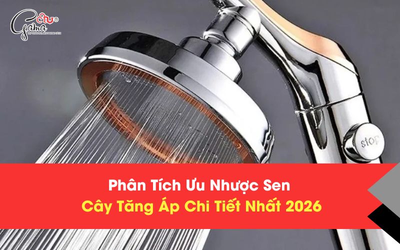 Phân Tích Ưu Nhược Sen Cây Tăng Áp Chi Tiết Nhất