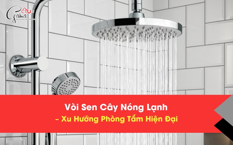 Vòi Sen Cây Nóng Lạnh – Xu Hướng Phòng Tắm Hiện Đại