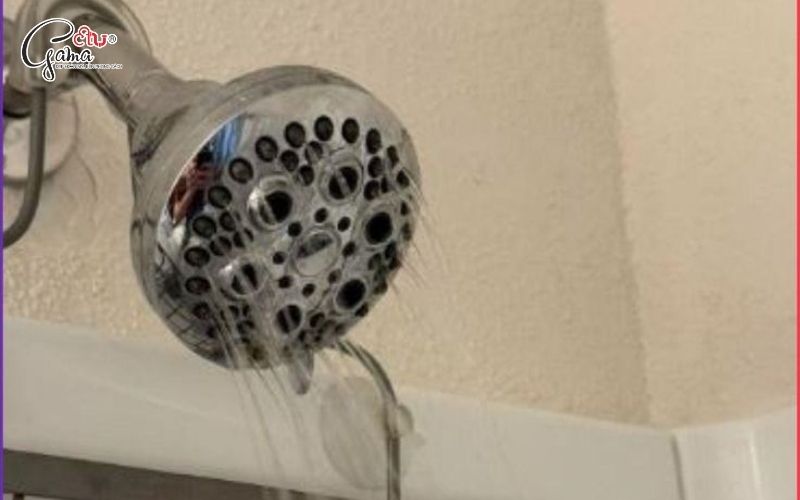 Nguyên nhân khiến sen tắm nước chảy yếu