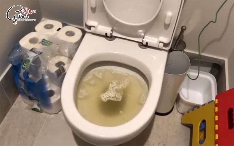 Bồn cầu bị đầy nước là gì? Có nguy hiểm không?