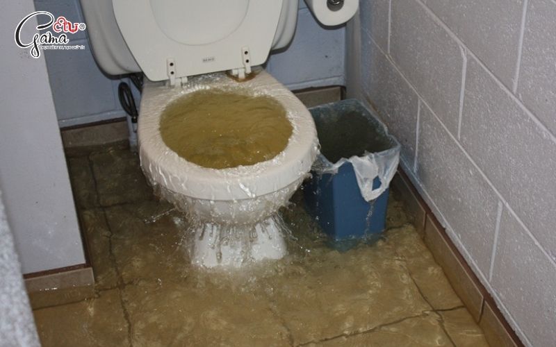 Tác hại nếu không xử lý kịp thời bồn cầu bị đầy nước