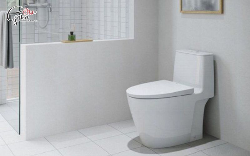 Vì sao cần biệt các loại bồn cầu vệ sinh trước khi chọn mua?