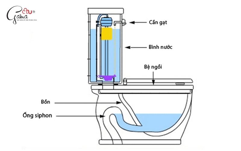 Cấu tạo bồn cầu vệ sinh 2 khối chi tiết