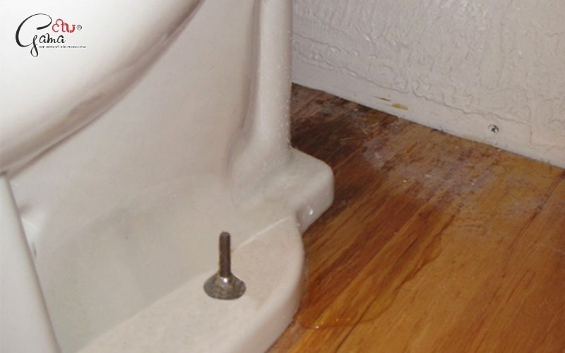 Cách kiểm tra bồn cầu bị rò nước tại nhà
