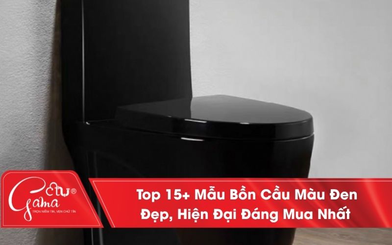 Bồn cầu màu đen