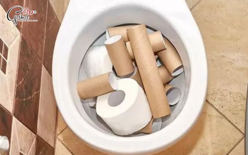 Nguyên nhân khiến bồn cầu bị nghẹt giấy