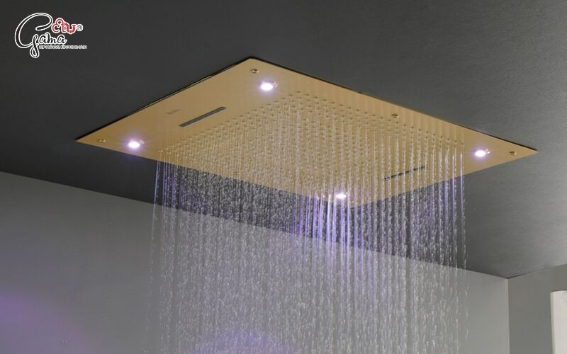 Bát sen lớn (sen trần)