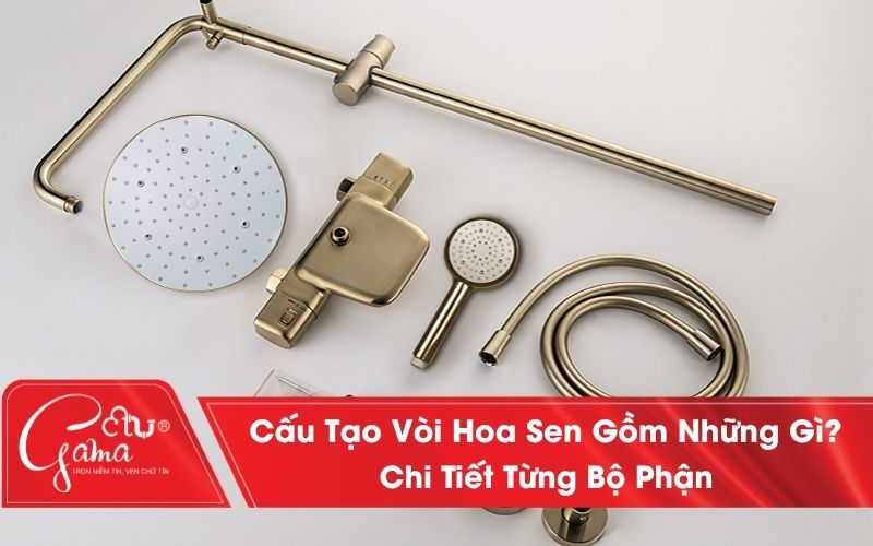 Cấu tạo vòi hoa sen