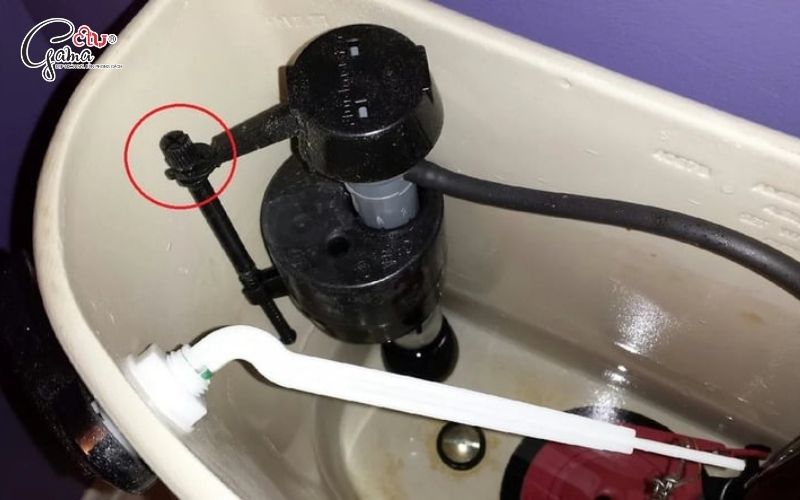 Phao đặt quá cao hoặc sai mực nước