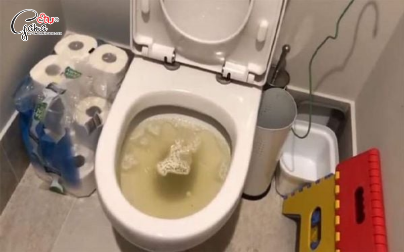 Nguyên nhân khiến bồn cầu bị trào ngược