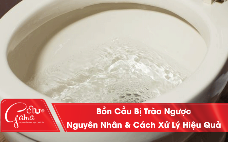 Bồn cầu bị trào ngược