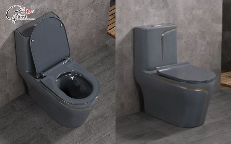 Lưu ý khi chọn mua bồn cầu màu xám