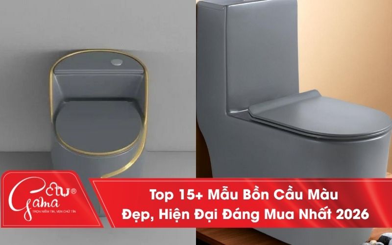 Bồn cầu màu xám