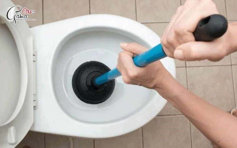 Cây thông bồn cầu (pittong cao su)