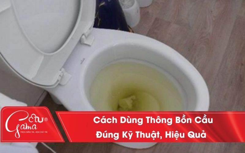 cách dùng thông bồn cầu