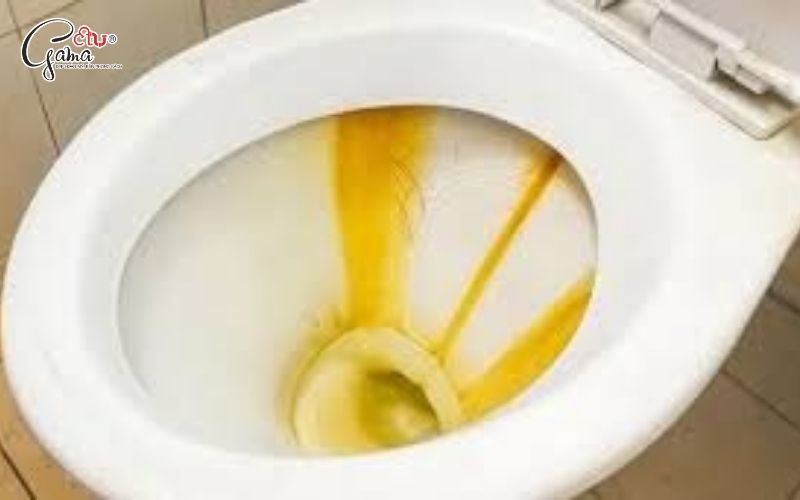 Vệ sinh bồn cầu thường xuyên để ngăn ố vàng