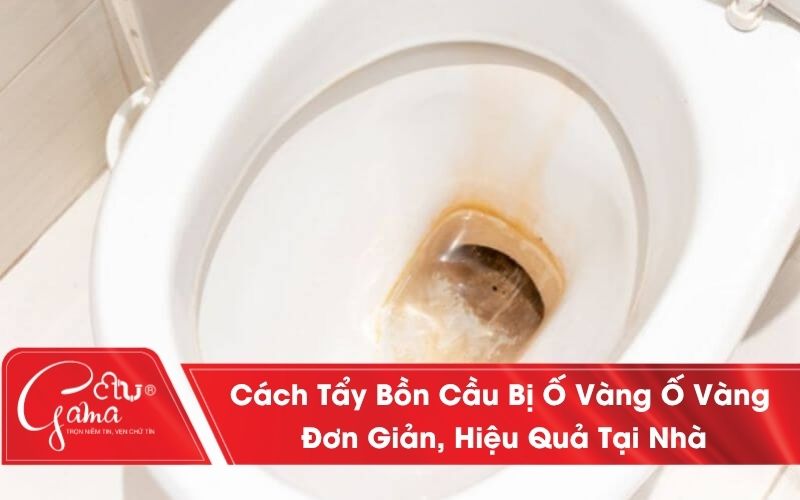 Cách tẩy bồn cầu bị ố vàng lâu ngày