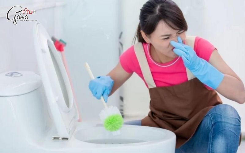 Vệ sinh bồn cầu định kỳ