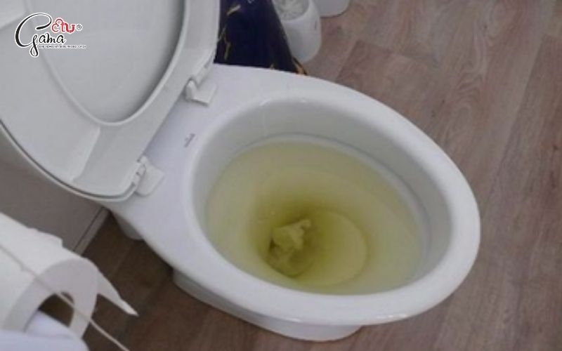 Bồn cầu bị nghẹt hơi là gì?