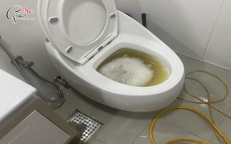 Hầm cầu bị đầy