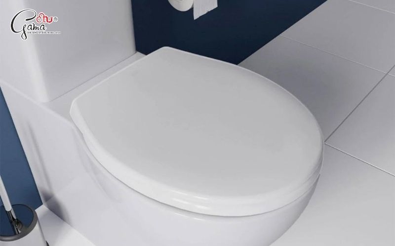 Nắp bồn cầu dạng thường